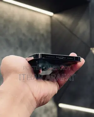 অ্যাপল আইফোন ১২ প্রো ম্যাক্স ২৫৬ জিবি গ্রে