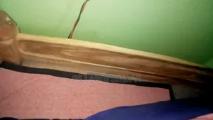 হাফ ২ইন বেড