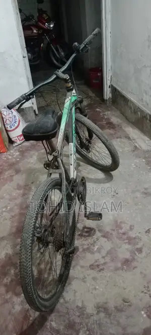 Phonix Duranta Baysaikal