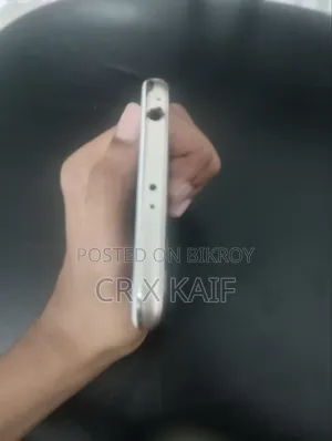 শাওমি গোল্ড