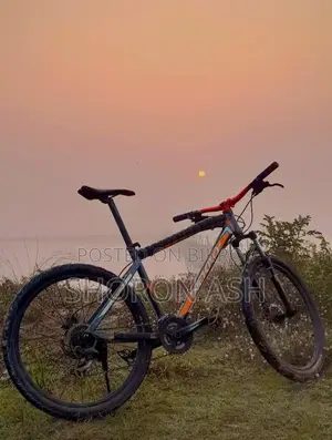 নেক্রো সাইকেল