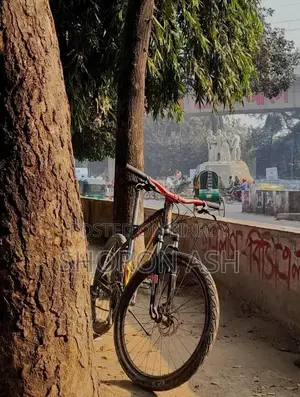 নেক্রো সাইকেল