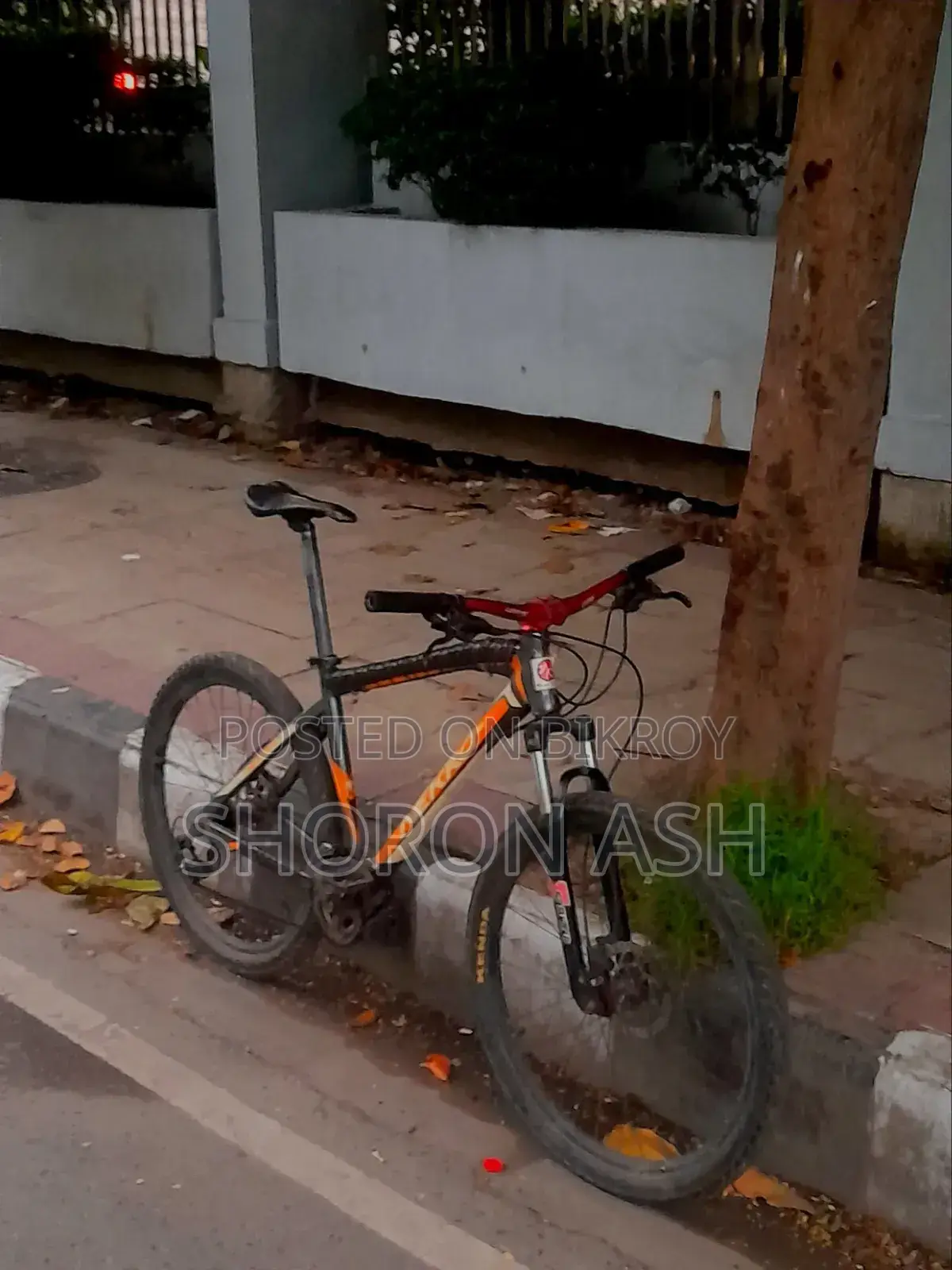 নেক্রো সাইকেল