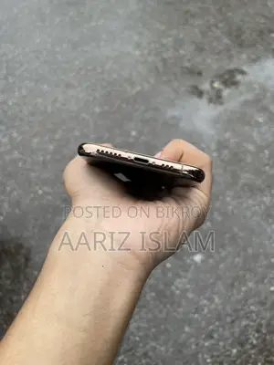 Apple iPhone XS 256 GB রোজ গোল্ড