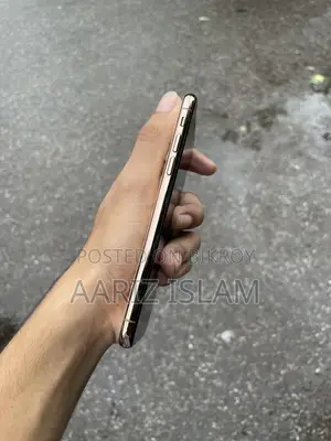Apple iPhone XS 256 GB রোজ গোল্ড