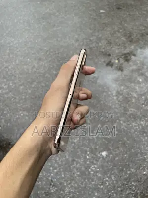Apple iPhone XS 256 GB রোজ গোল্ড