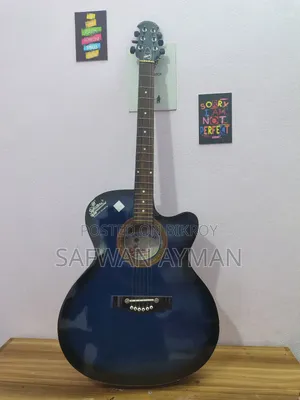 এক্সক্লুসিভ গিটার