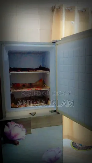 Fridge Like New