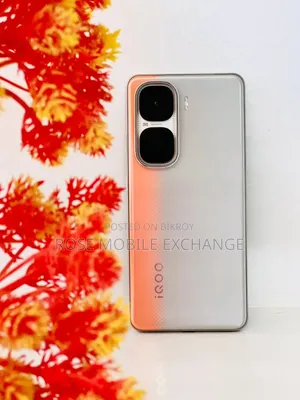 New Vivo 256 GB Orange