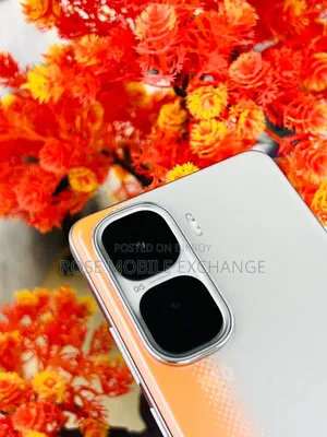 New Vivo 256 GB Orange