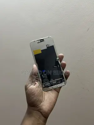 iPhone 15 Pro Max Display