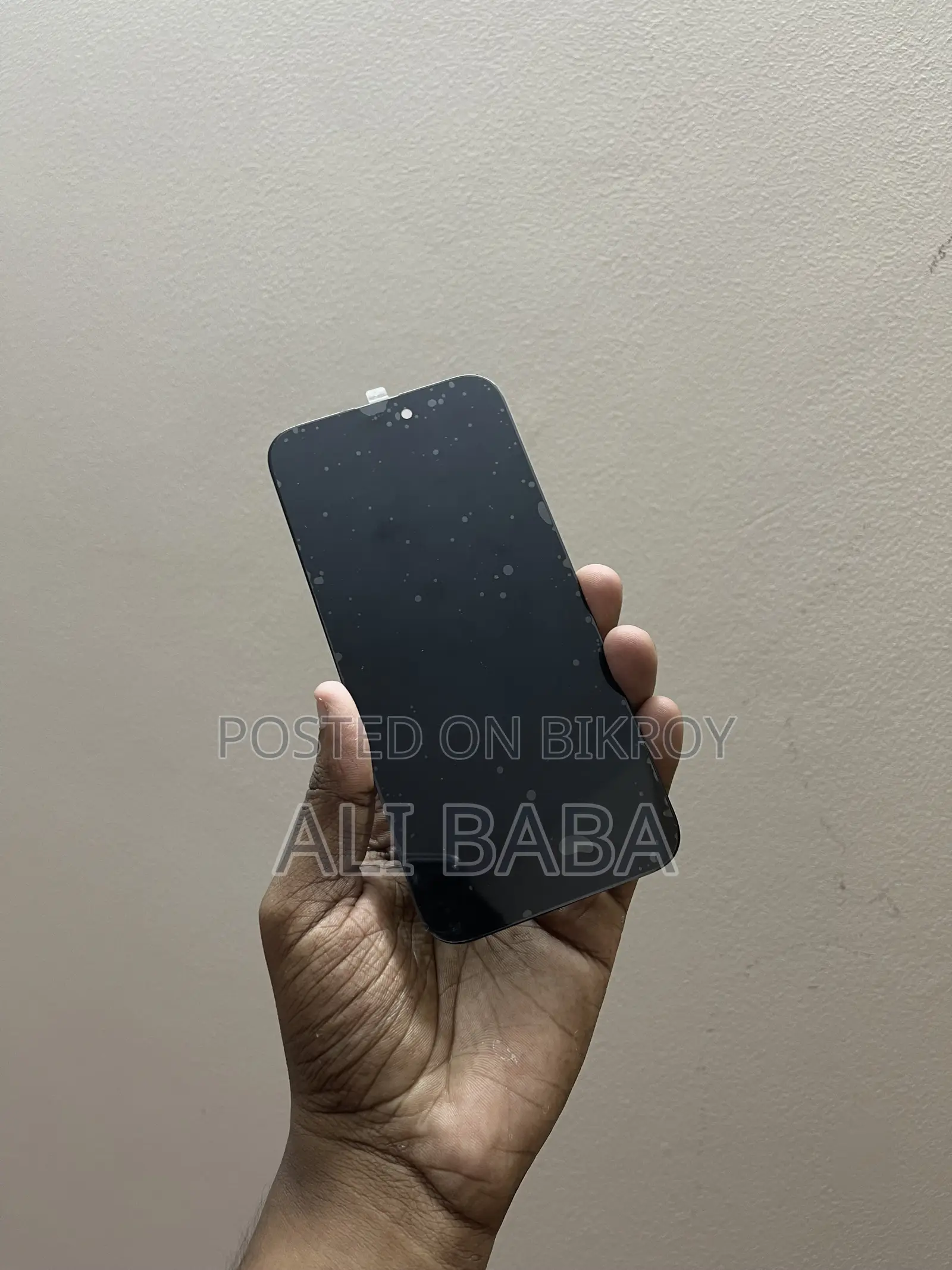 iPhone 15 Pro Max Display