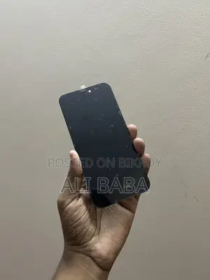 iPhone 15 Pro Max Display