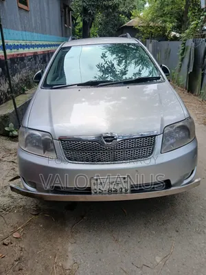 Toyota Corolla Fielder 2006 Silver