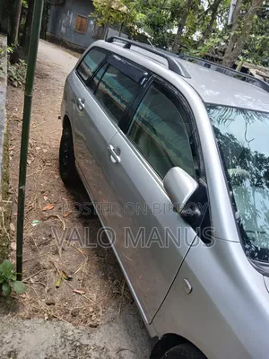 Toyota Corolla Fielder 2006 Silver