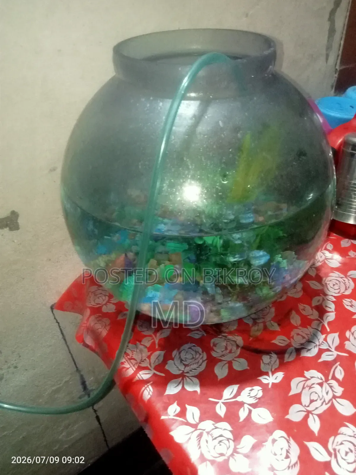 সল্প দামে ৬লিটার এর ছোট একুইরিয়াম বিক্রি।।