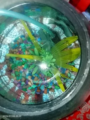 সল্প দামে ৬লিটার এর ছোট একুইরিয়াম বিক্রি।।