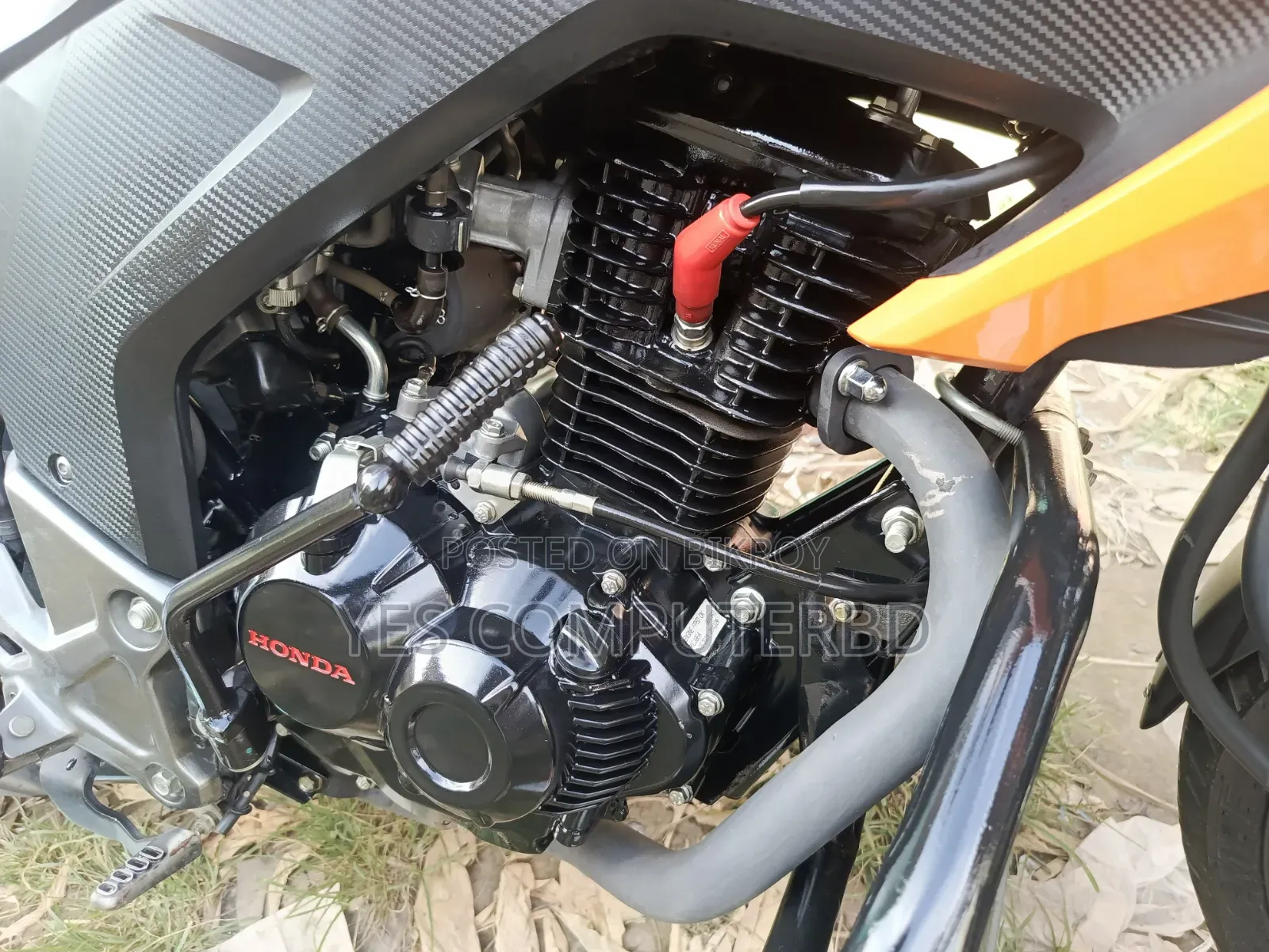 Honda Hornet 2024 Yellow