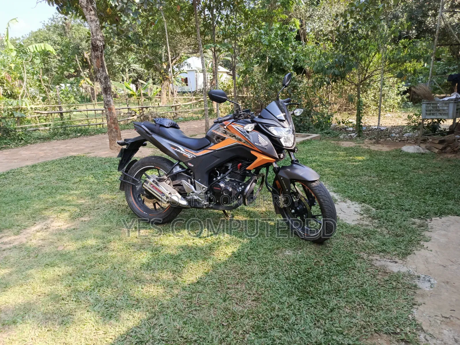 Honda Hornet 2024 Yellow