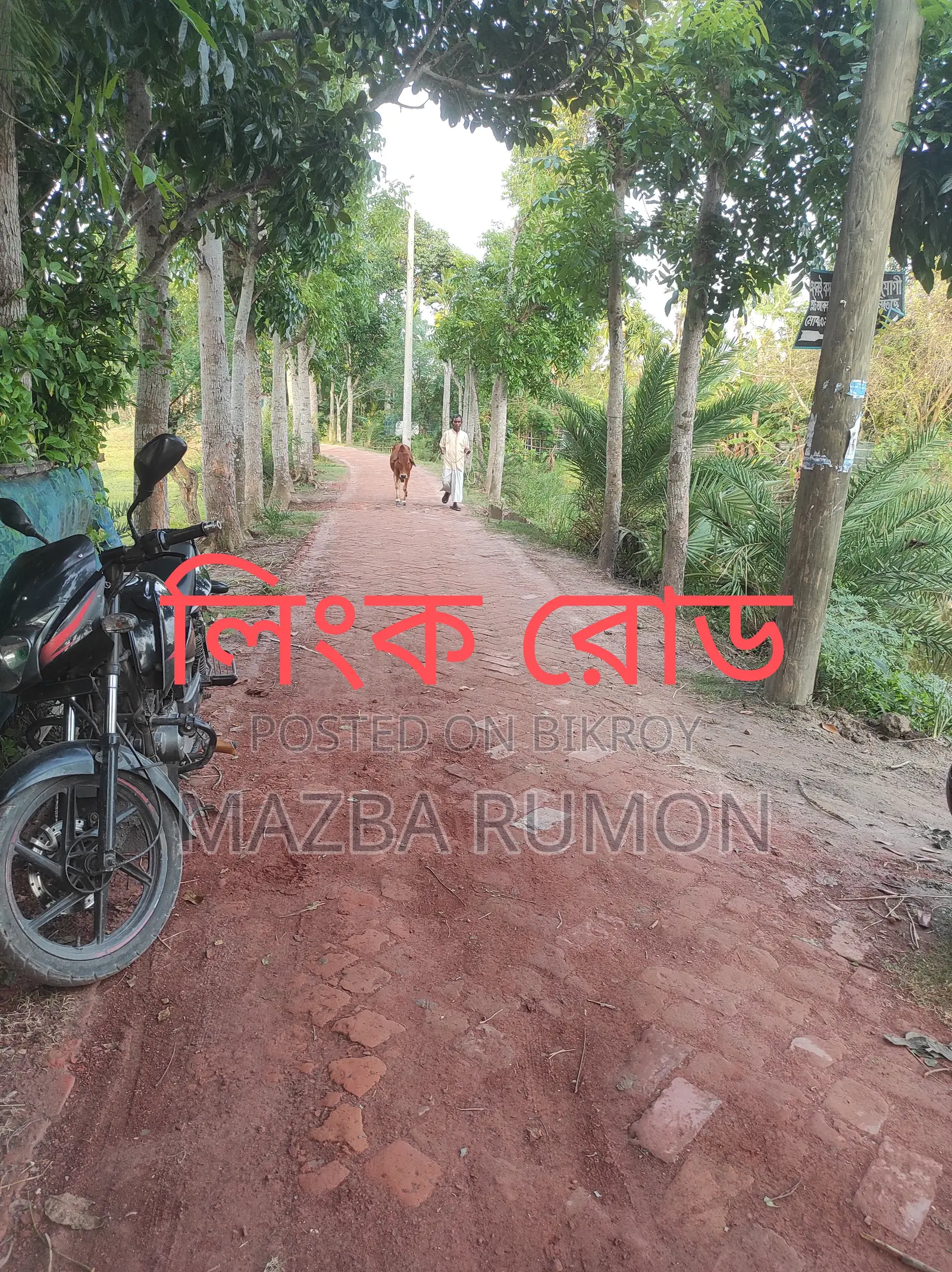 3.50 Katha / 5.73 Shotok unencumbered land for sale in Chokrakhali, Khulna