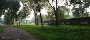 মালটা (শেনজেন) রেস্টুরেন্ট এ হোটেল বয় পদে নিয়োগ