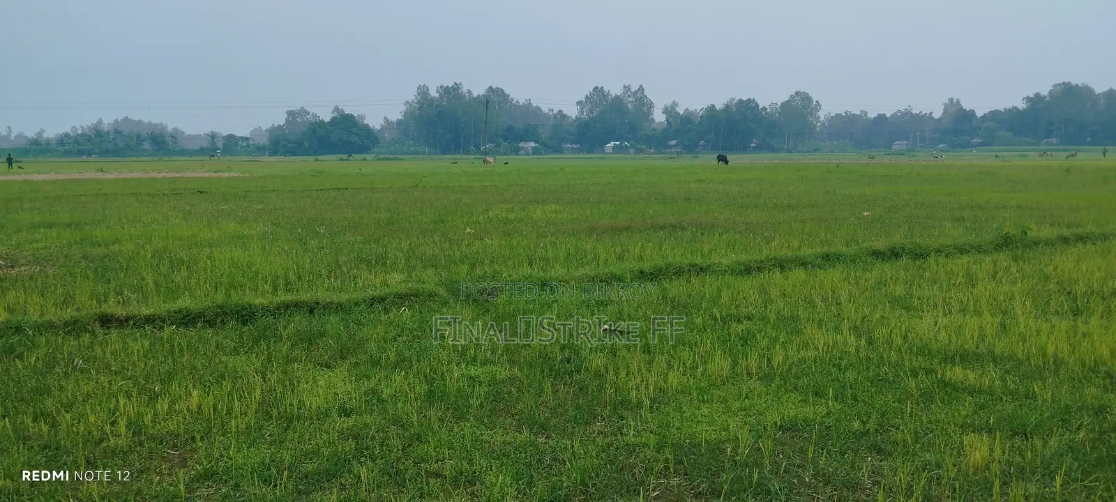 মালটা (শেনজেন) রেস্টুরেন্ট এ হোটেল বয় পদে নিয়োগ