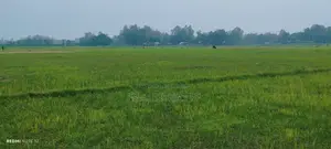 মালটা (শেনজেন) রেস্টুরেন্ট এ হোটেল বয় পদে নিয়োগ