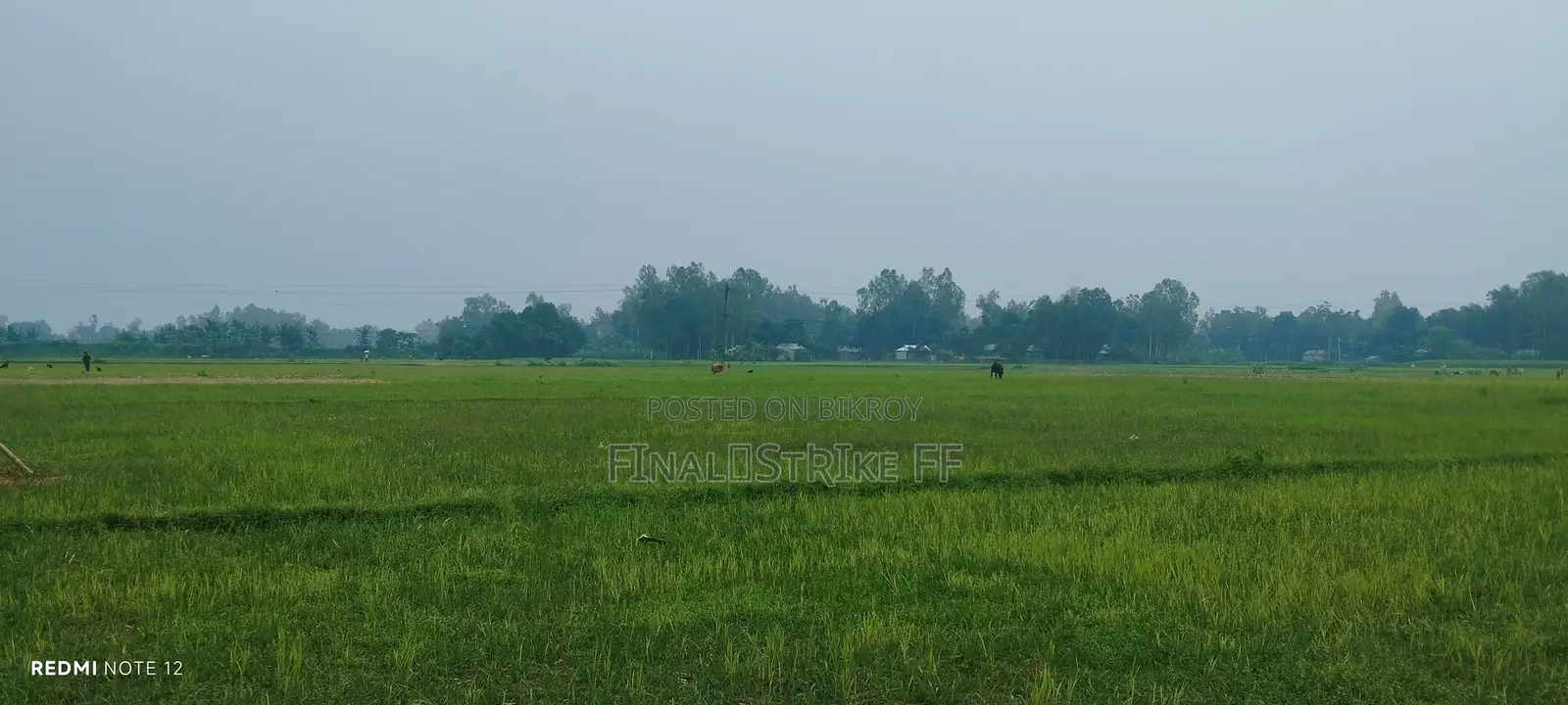 মালটা (শেনজেন) রেস্টুরেন্ট এ হোটেল বয় পদে নিয়োগ