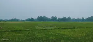 মালটা (শেনজেন) রেস্টুরেন্ট এ হোটেল বয় পদে নিয়োগ