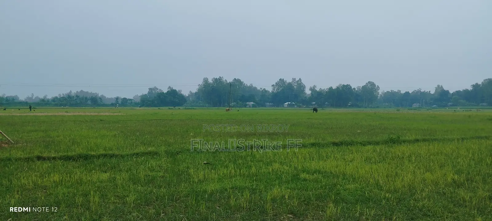 মালটা (শেনজেন) রেস্টুরেন্ট এ হোটেল বয় পদে নিয়োগ