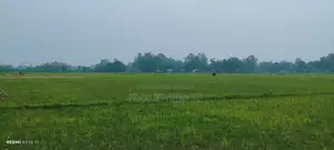 মালটা (শেনজেন) রেস্টুরেন্ট এ হোটেল বয় পদে নিয়োগ
