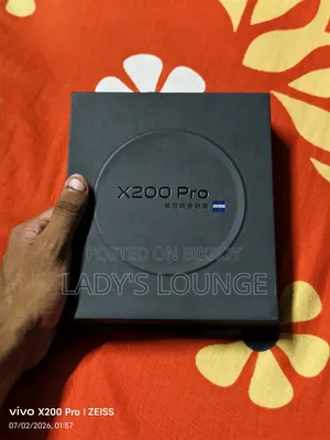 Vivo X200 Pro 256 GB Gray
