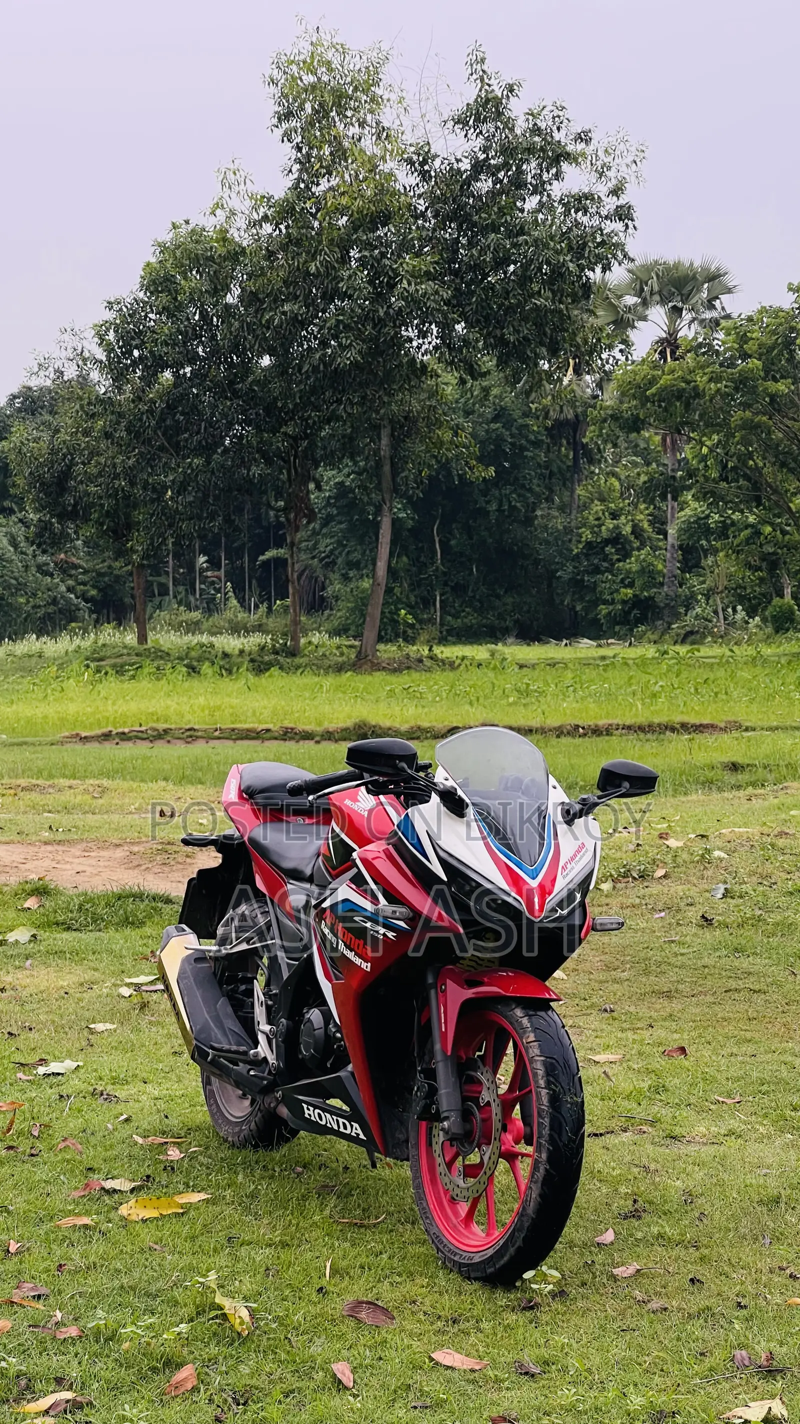 Honda CBR 2019 Red