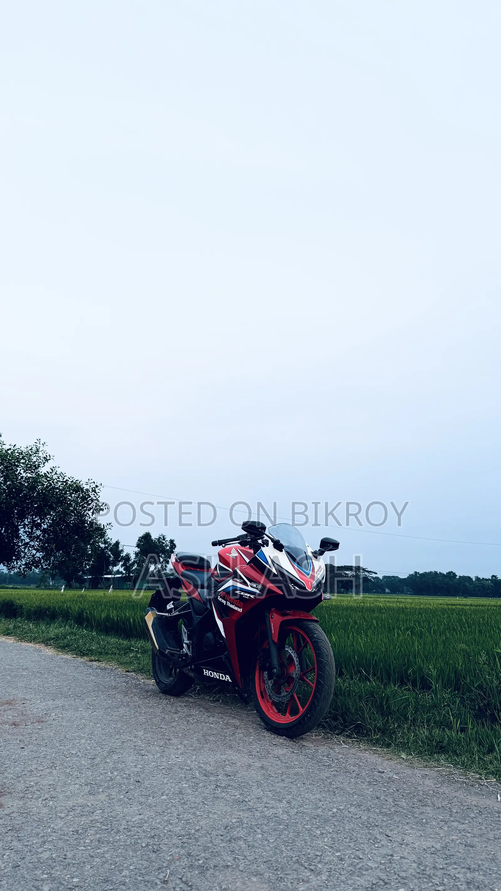 Honda CBR 2019 Red