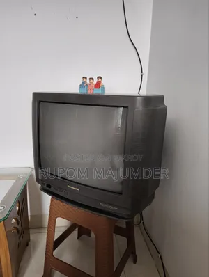 Television