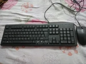 Keyboard & Mouse