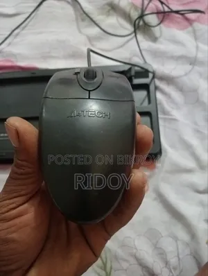 Keyboard & Mouse
