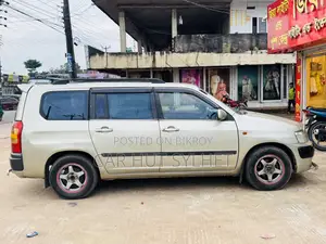 টয়োটা সাকসিড ২০০৪ গোল্ড