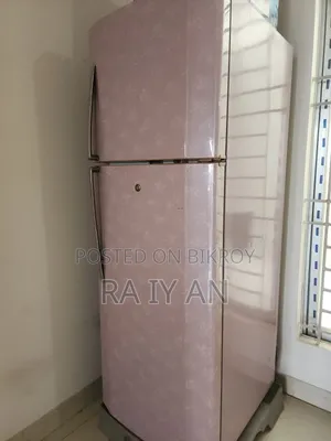 এলজি ফ্রস্ট-ফ্রি ডাবল ডোর রেফ্রিজারেটর
