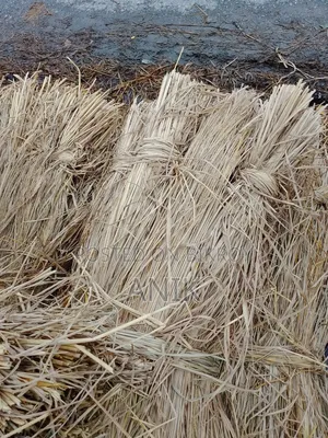 খেরের আডি,