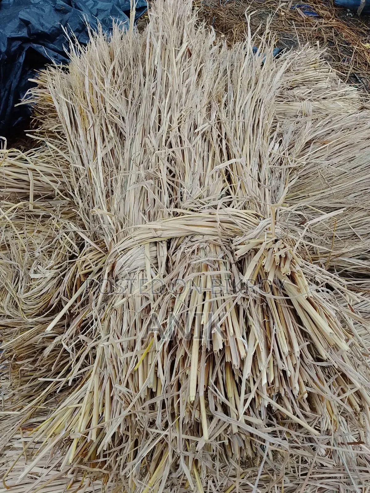 খেরের আডি,