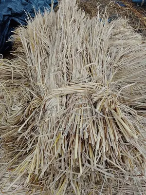 খেরের আডি,