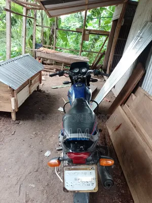 Bajaj Platina 100 2025 Blue