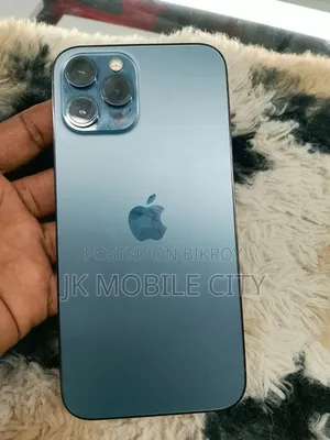অ্যাপল আইফোন ১২ প্রো ম্যাক্স ২৫৬ জিবি গ্রে