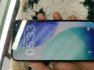 অ্যাপল আইফোন ১২ প্রো ম্যাক্স ২৫৬ জিবি গ্রে