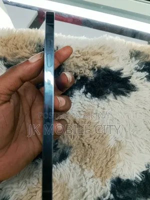 অ্যাপল আইফোন ১২ প্রো ম্যাক্স ২৫৬ জিবি গ্রে