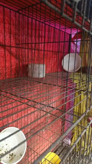 Large Cage