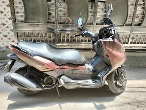 Znen T10 2018 Brown