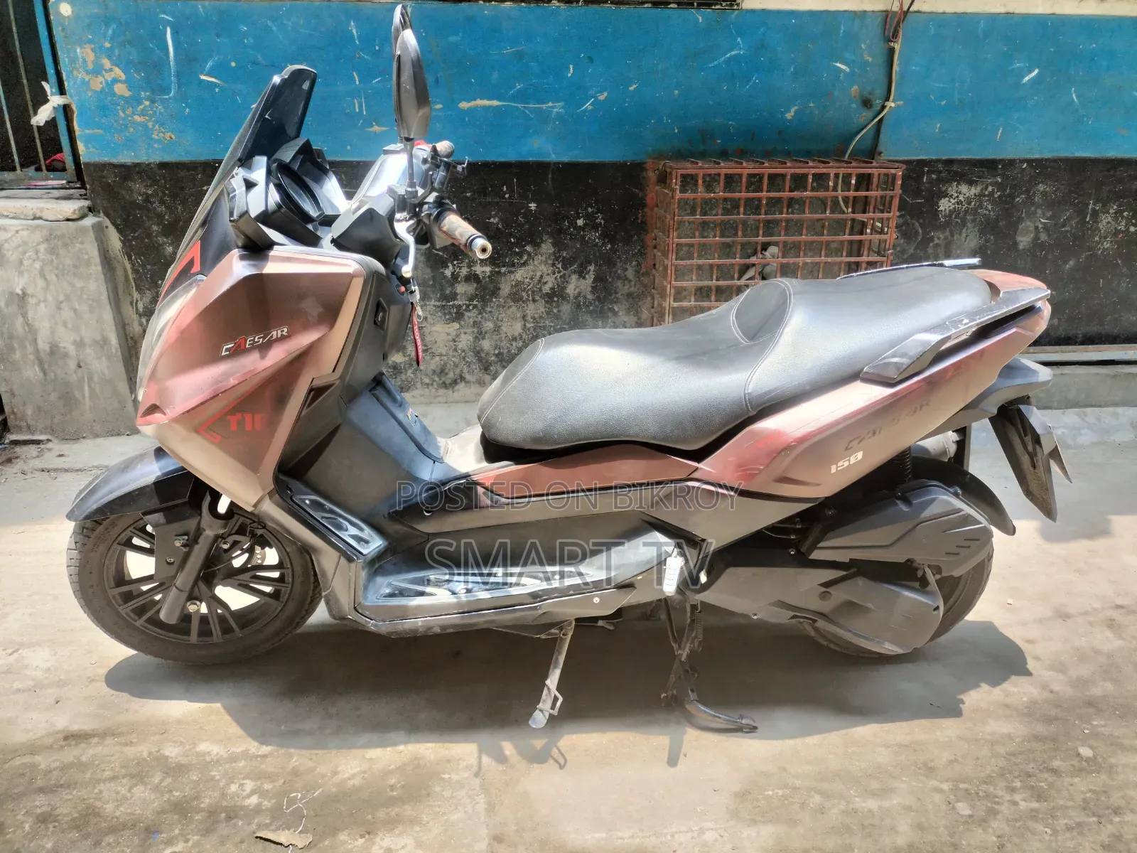 Znen T10 2018 Brown