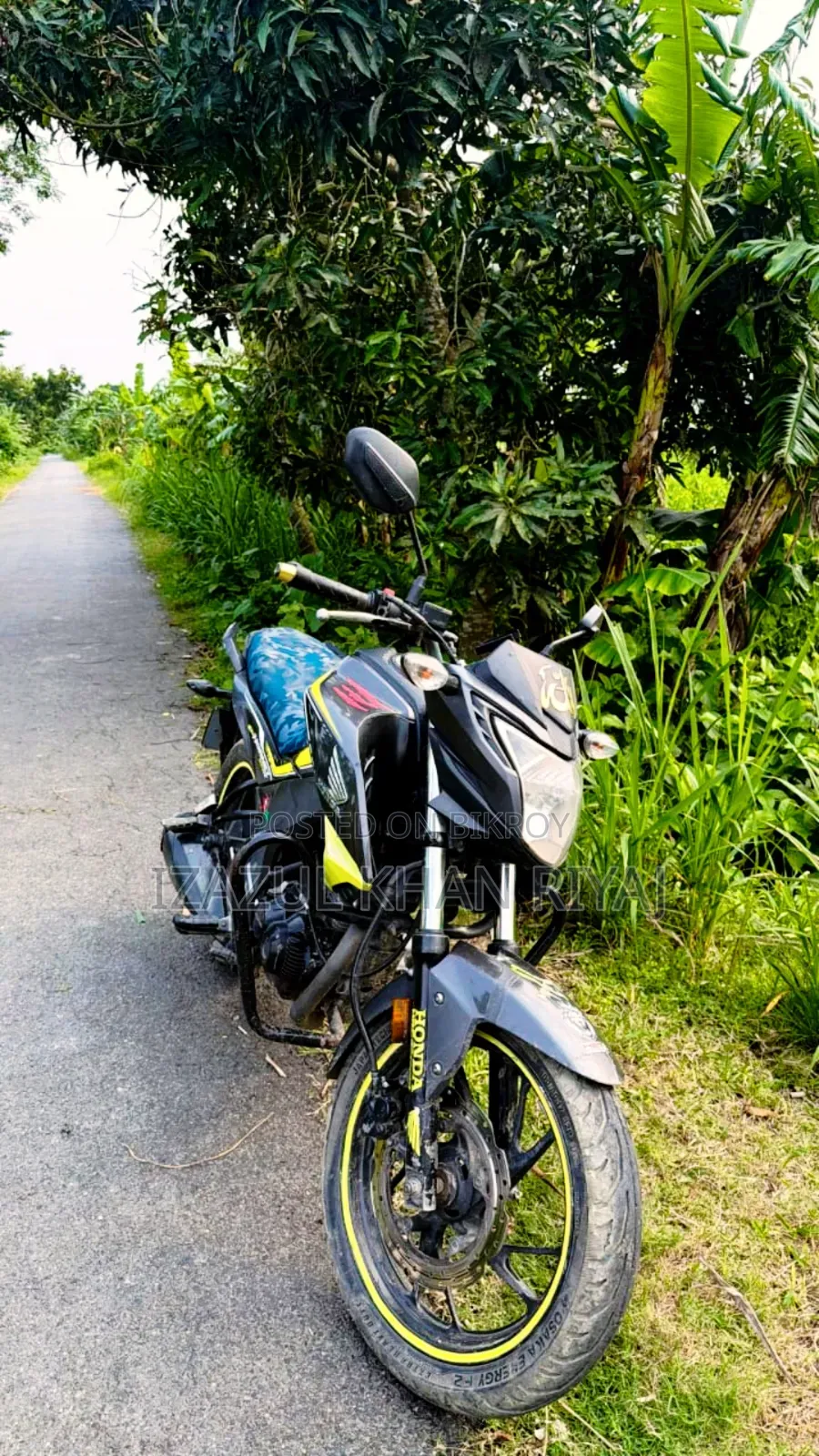 Honda Hornet 2020 Gray